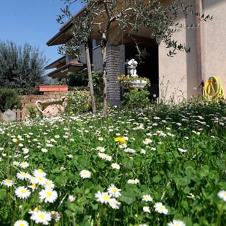 Hotel Le Due Perle Peschiera del Garda Exterior foto